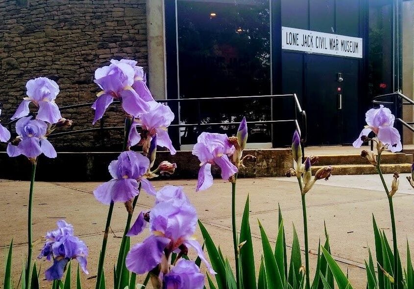 Flowers in the foreground of the Lone Jack Civil War Museum.