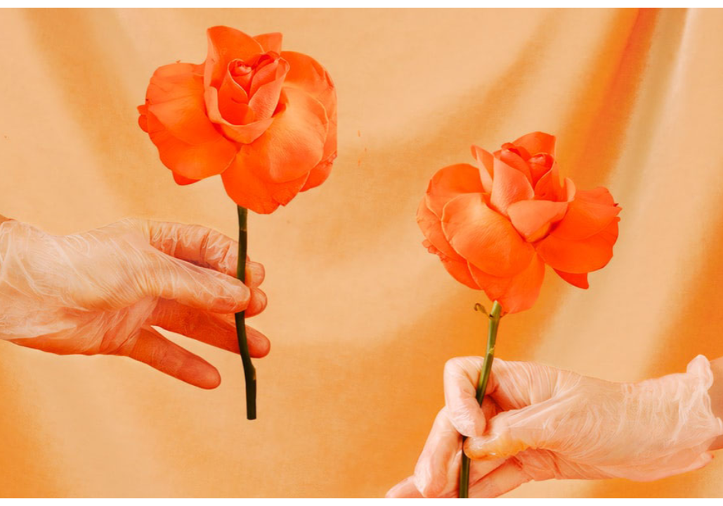 Roses held by gloved hands