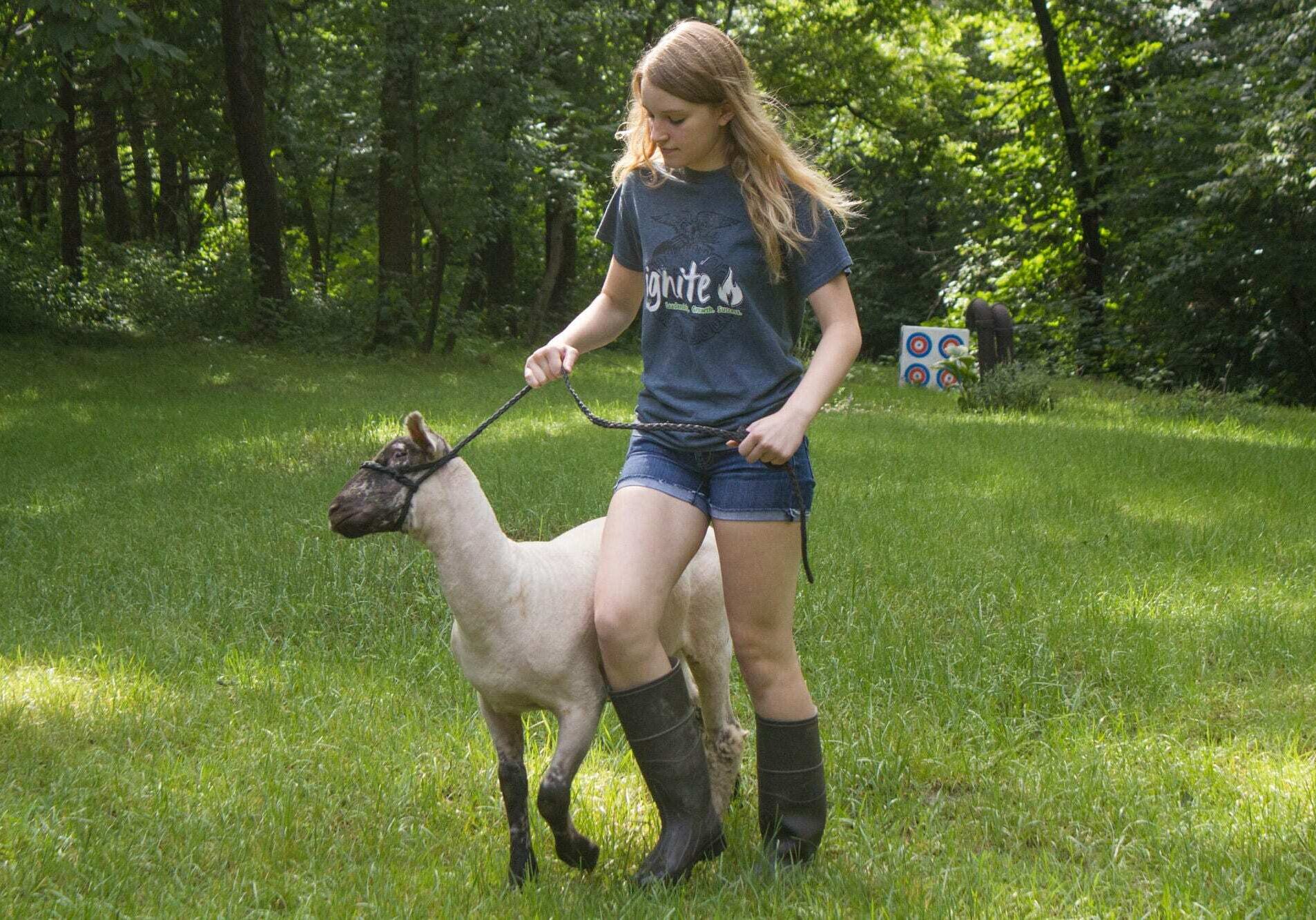 This is the first sheep Ally has raised. She has trained the lamb by putting a rope harness on him and walking with him around the backyard, with its trampoline and swing set. (Photo: Amy Mayer/Harvest Public Media)