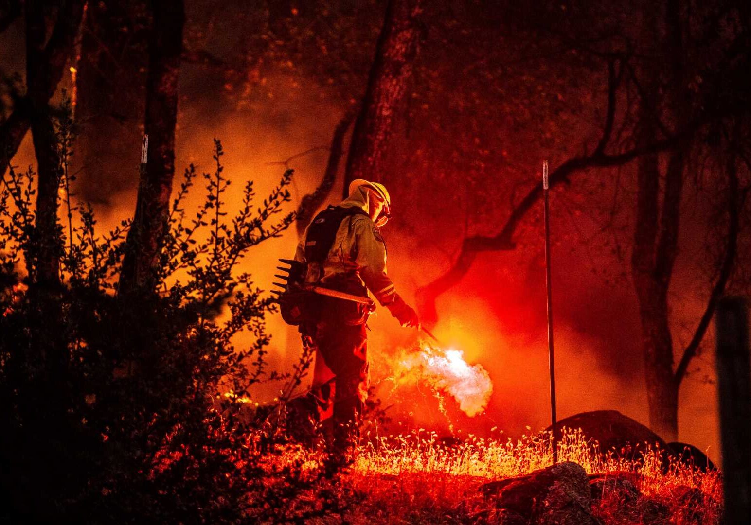 Napa Valley Fire