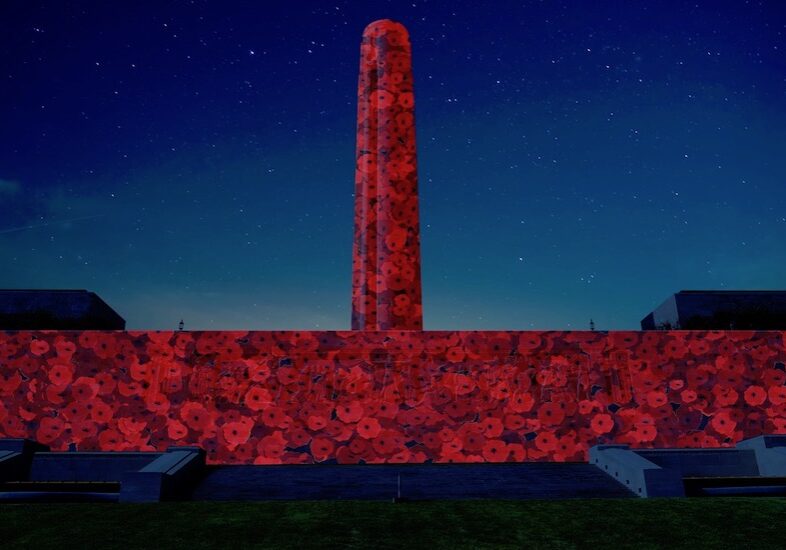 Liberty Memorial poppies
