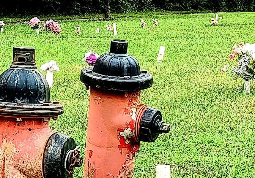 Grave markers include fire hydrants at the Wayside Waifs pet cemetery.
