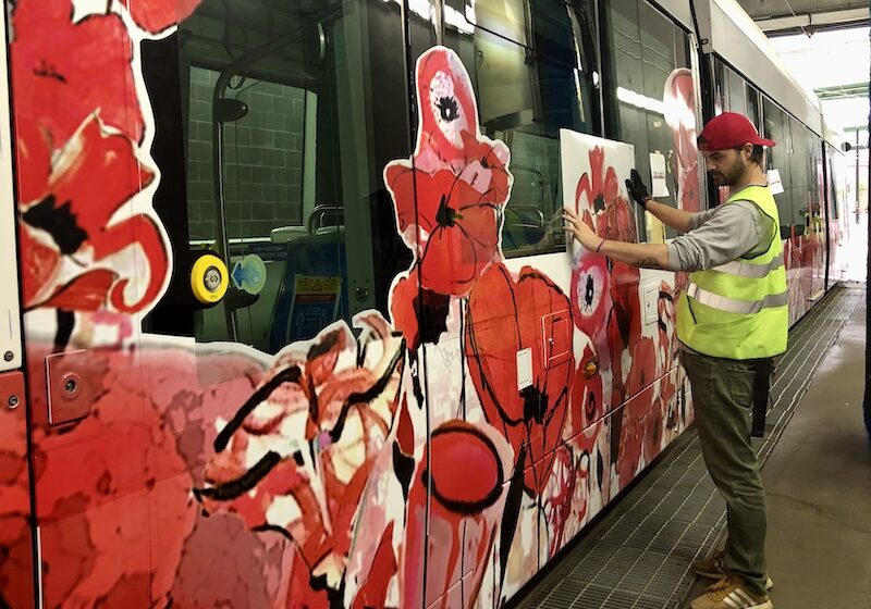 Hope & Gratitude Ada Koch