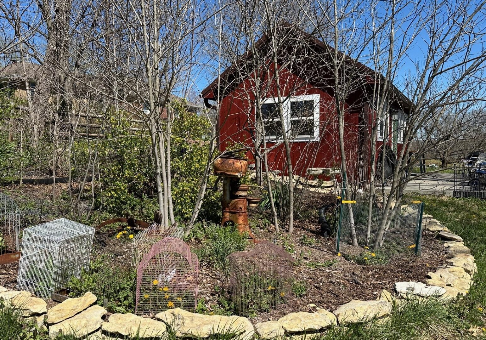 A garden scene at Prairie Birthday Farm.
