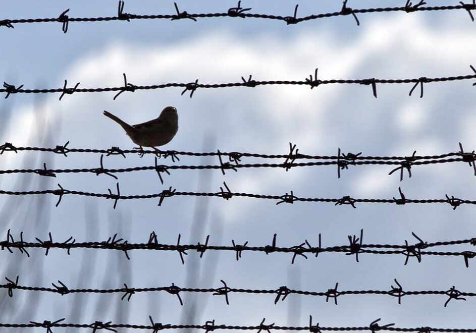 AP Photo | Vadim Ghirda