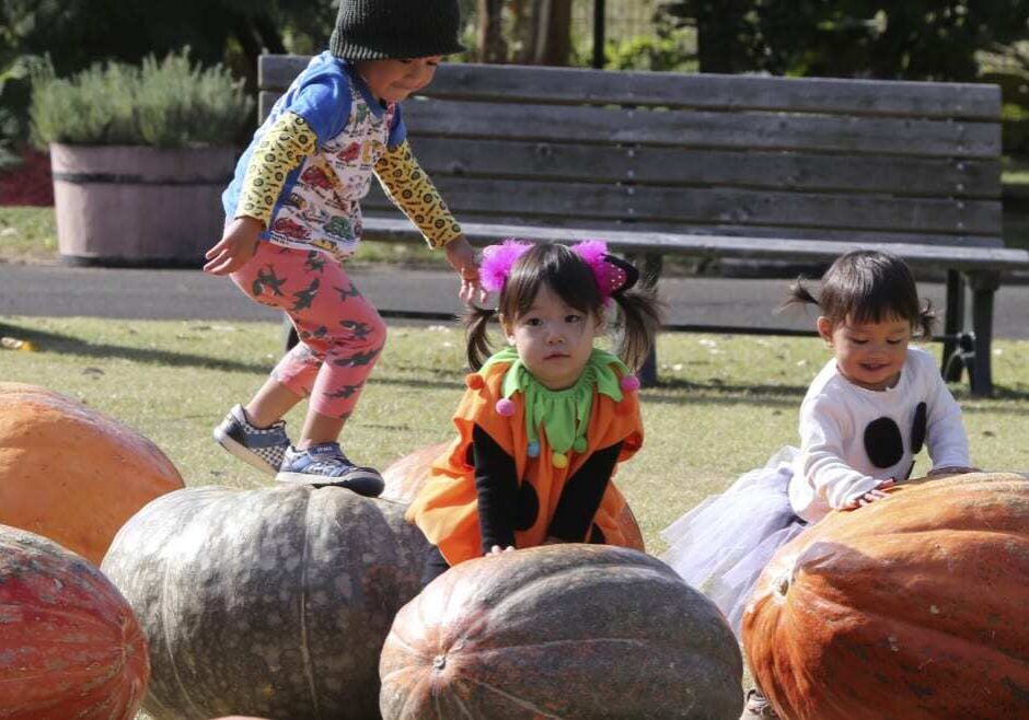 Children playing on pumpkins