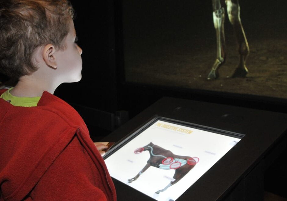 A child at The Museum at Prairie Fire learns what makes horses tick with "The Horse" exhibit, which runs through January.
(Credit: The Museum at Prairie Fire)