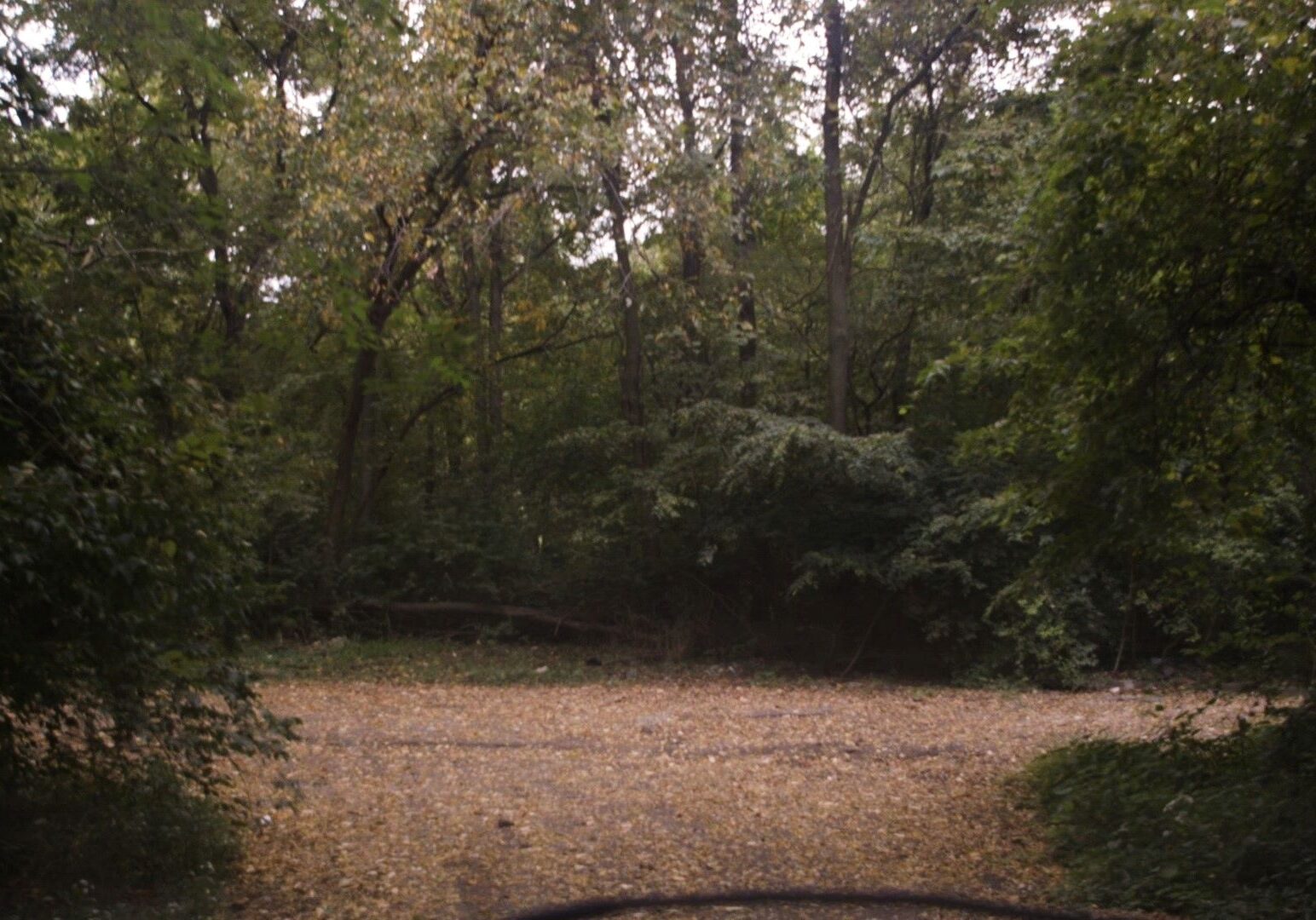 One of the remaining original streets of Rattlebone Hollow.