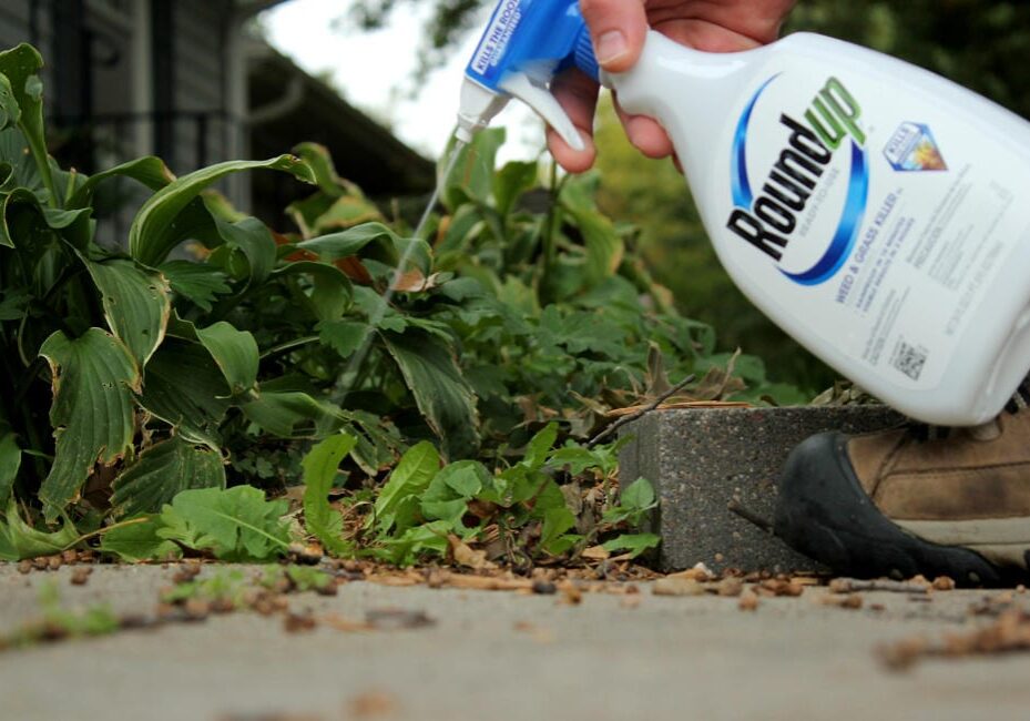 A Roundup bottle spraying.