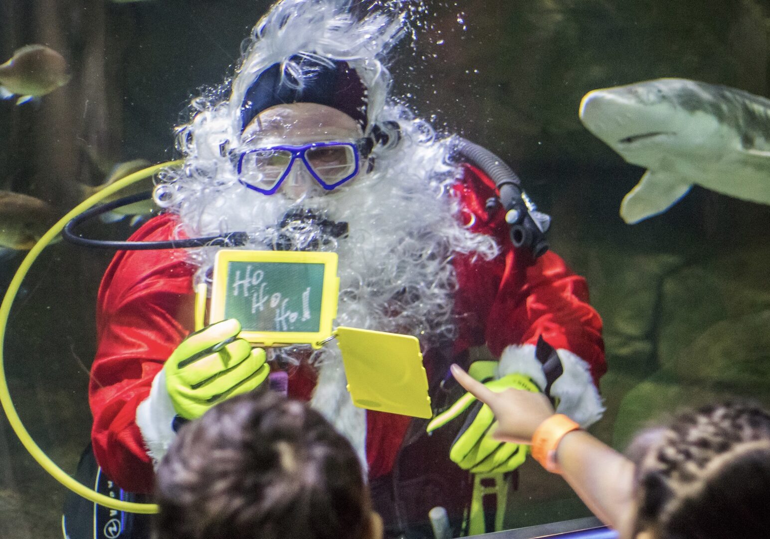 Santa underwater at Sea Life Aquarium.