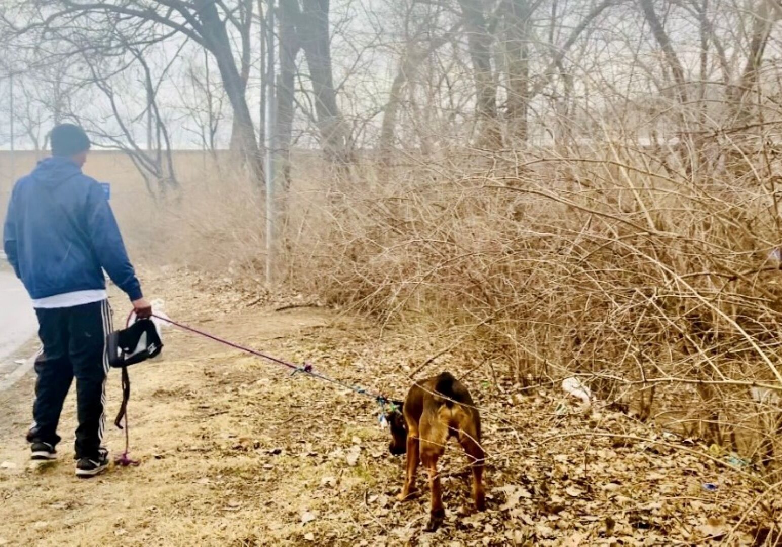 After picking up some supplies from Alice DelBosque of Angel Hearts Rescue Inc., Sabir and his pet Traxie walk off on their own.