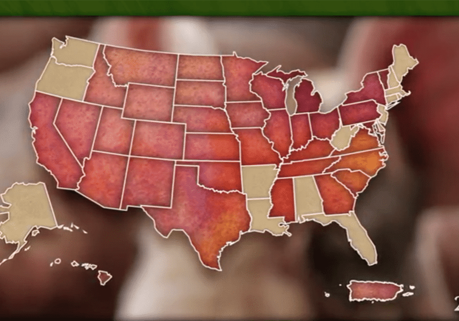 PED video featured image