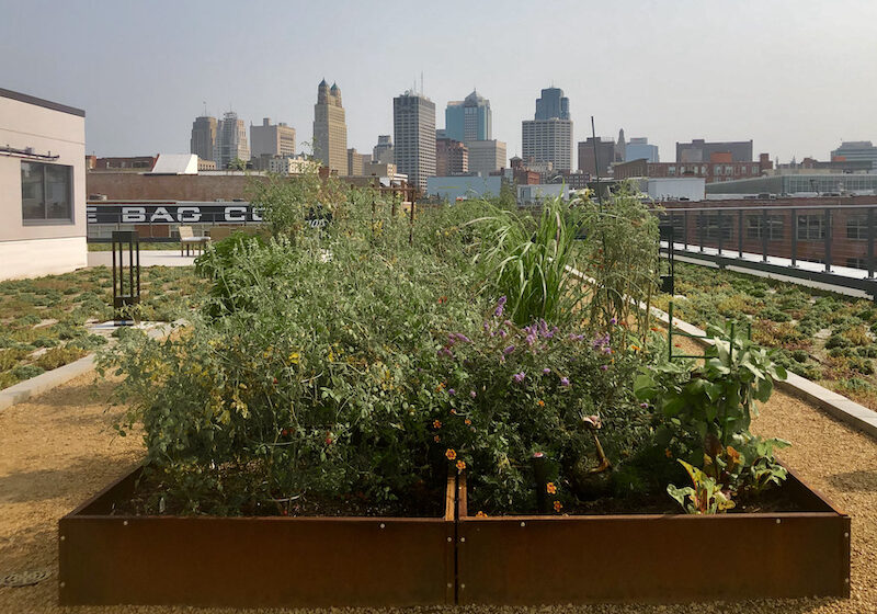 Second + Delaware rooftop garden