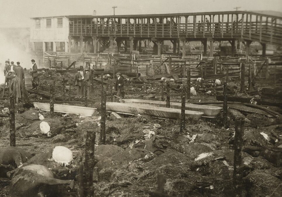 The aftermath of the West Bottoms stockyard fire of 1917.