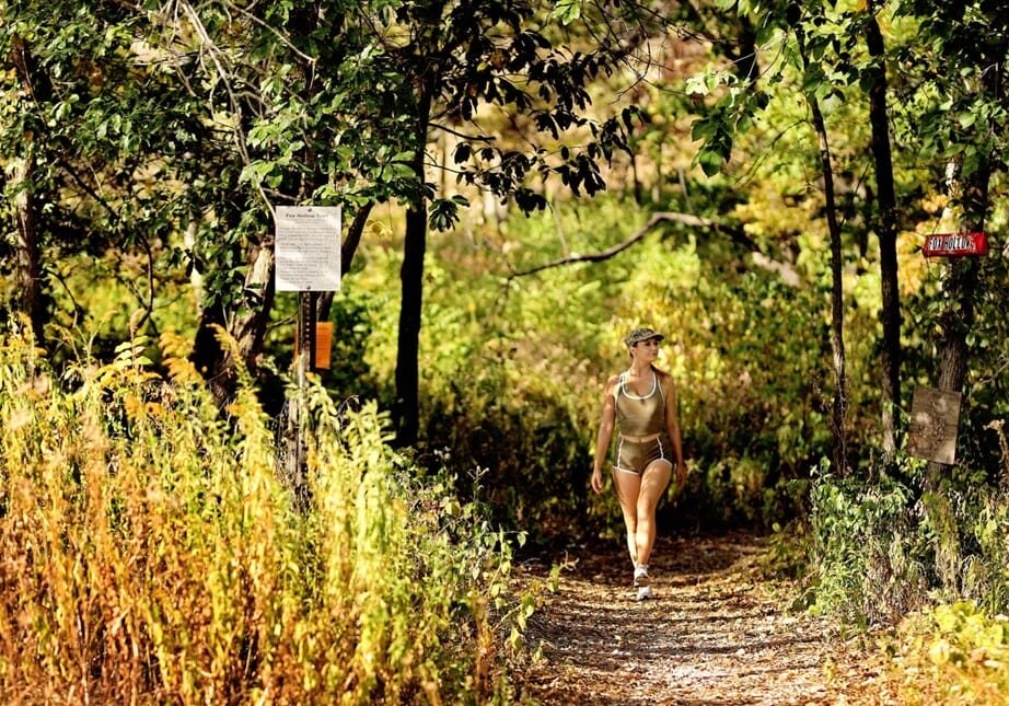A person walks on a sunny path through the woods.