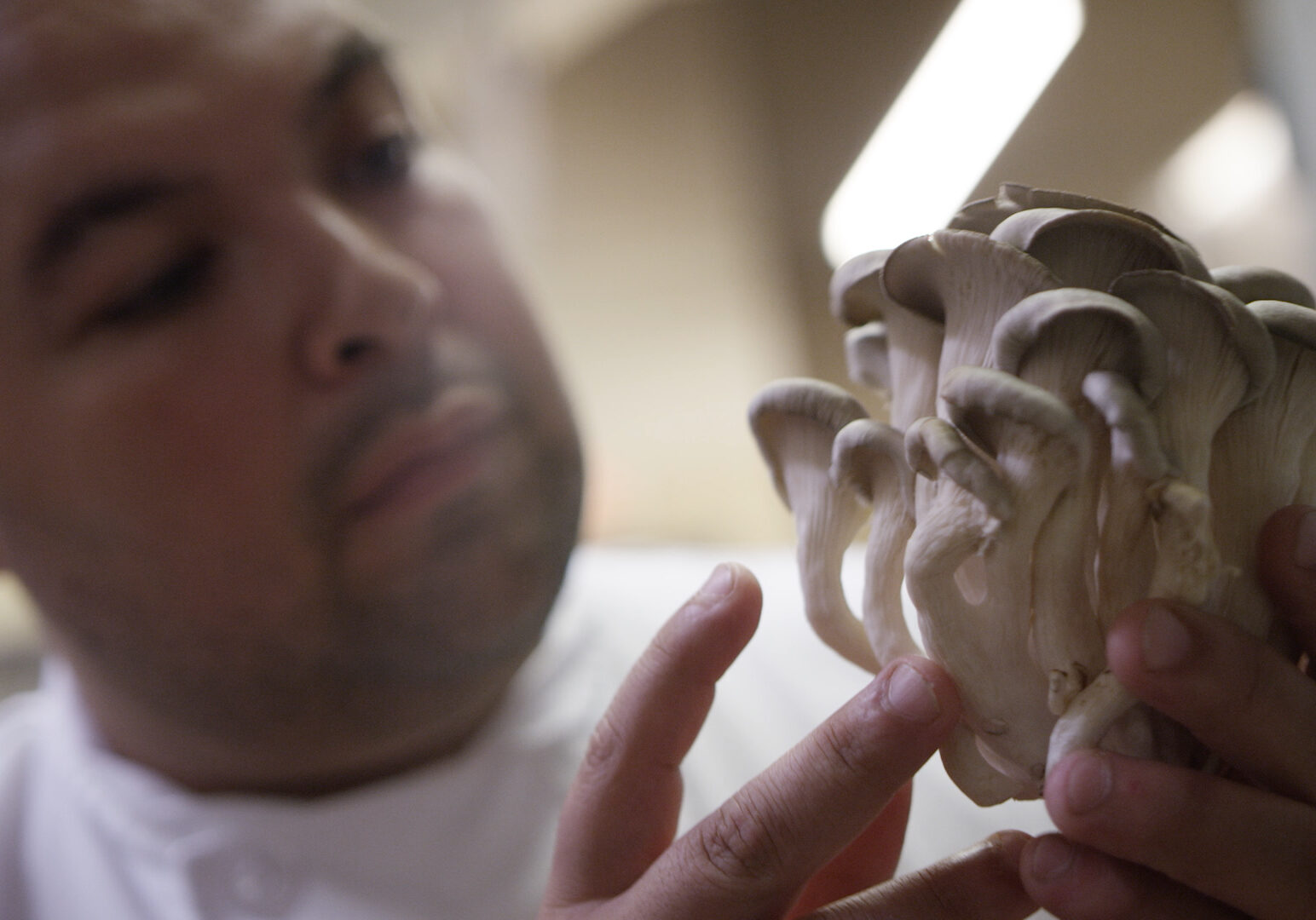 Vincent Parades, owner and chef at The Farmhouse, is devoted to serving farm-to-table, tip-to-tail cuisine.