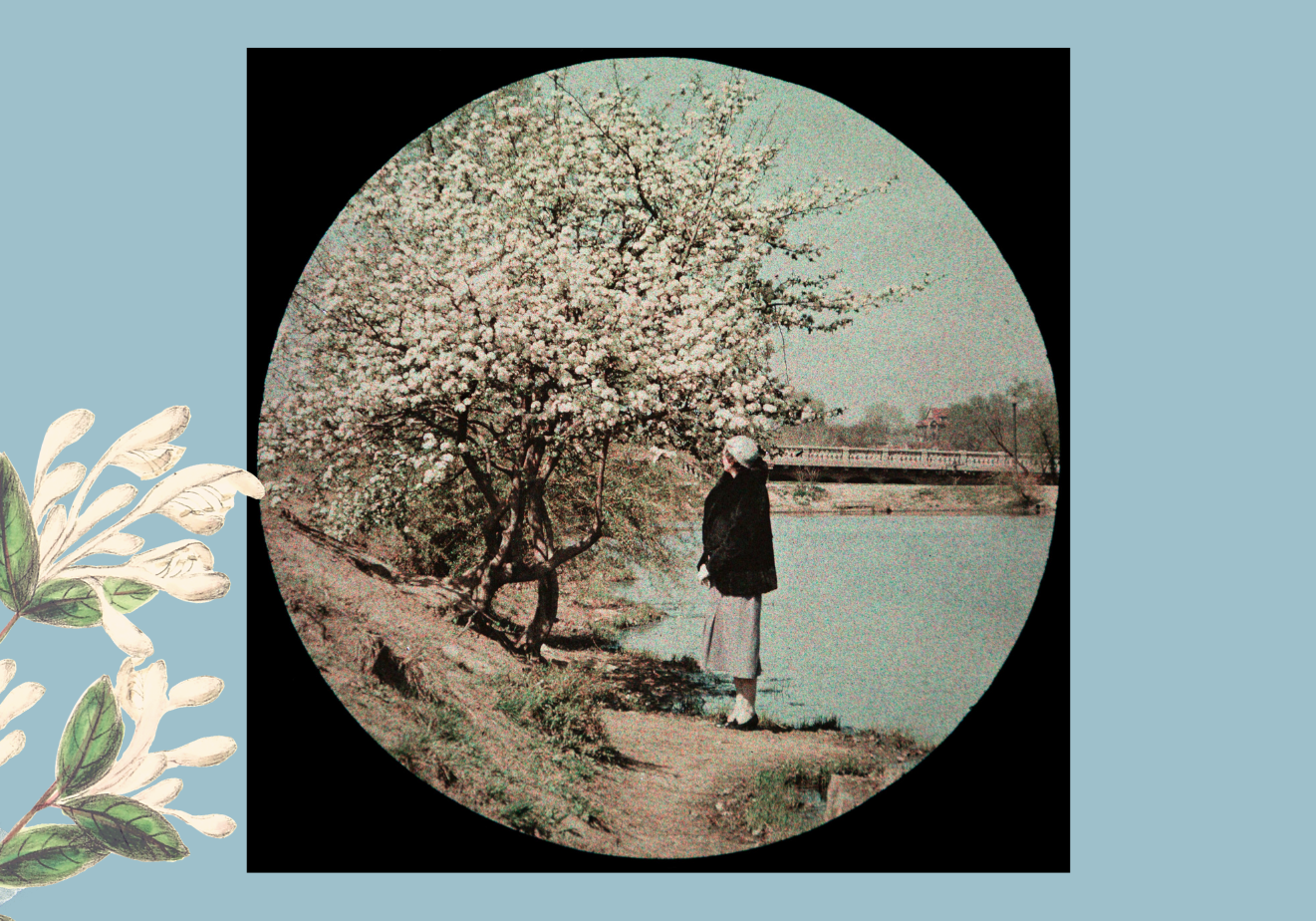 Troost Lake and its history