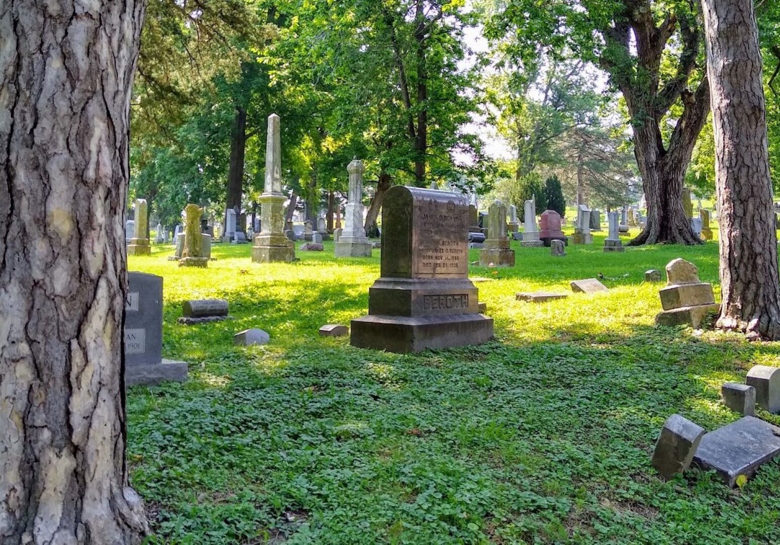 In many places within Union Cemetery, old trees allow sunlight to dapple the landscape and create a sense of peace and quiet.