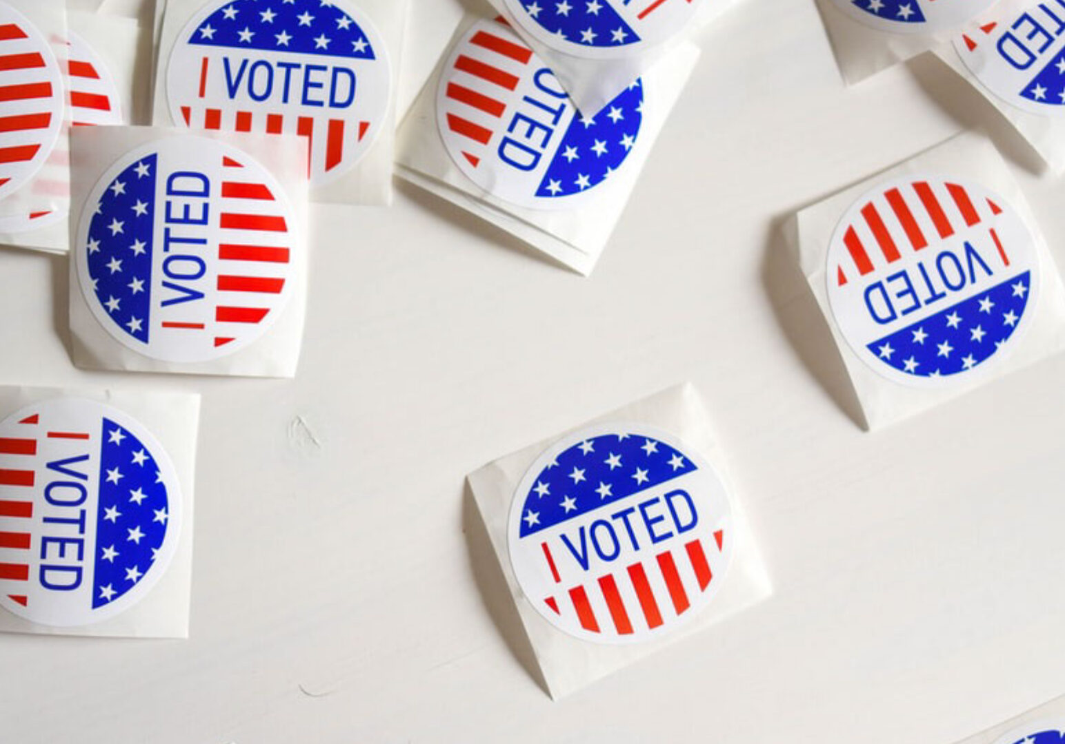 Voting in the primary election