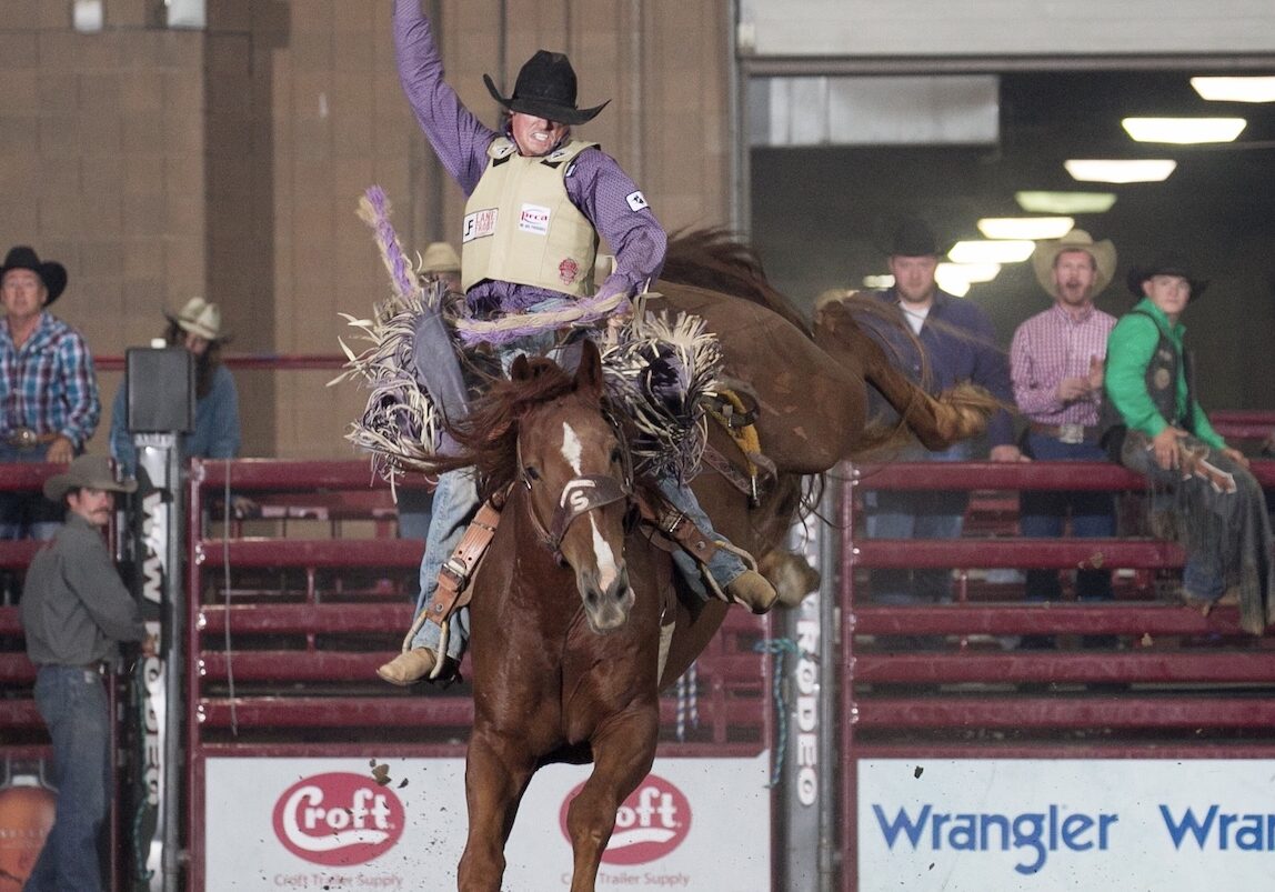 A rider holds on to a bucking bronco.