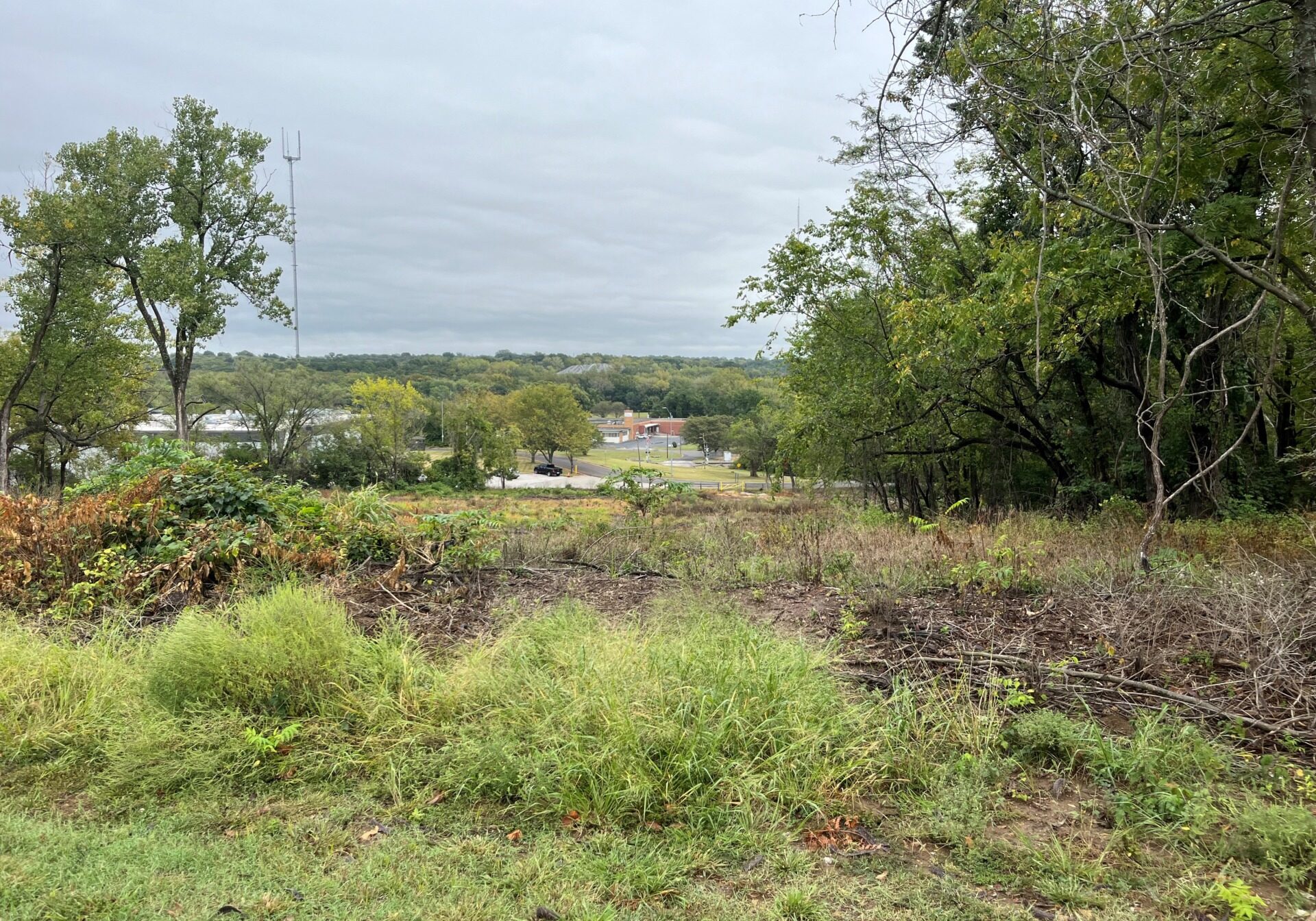 A view of the Big Blue battlefield now that parks and recreation has cleared it.