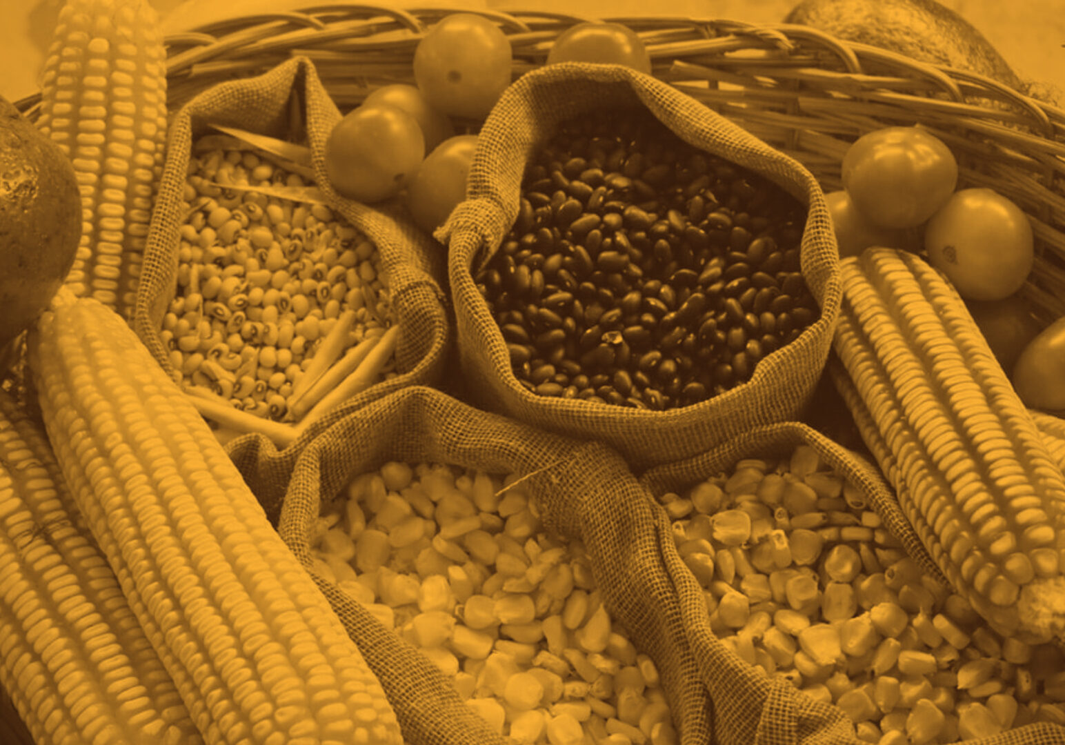 curiousKC food edition