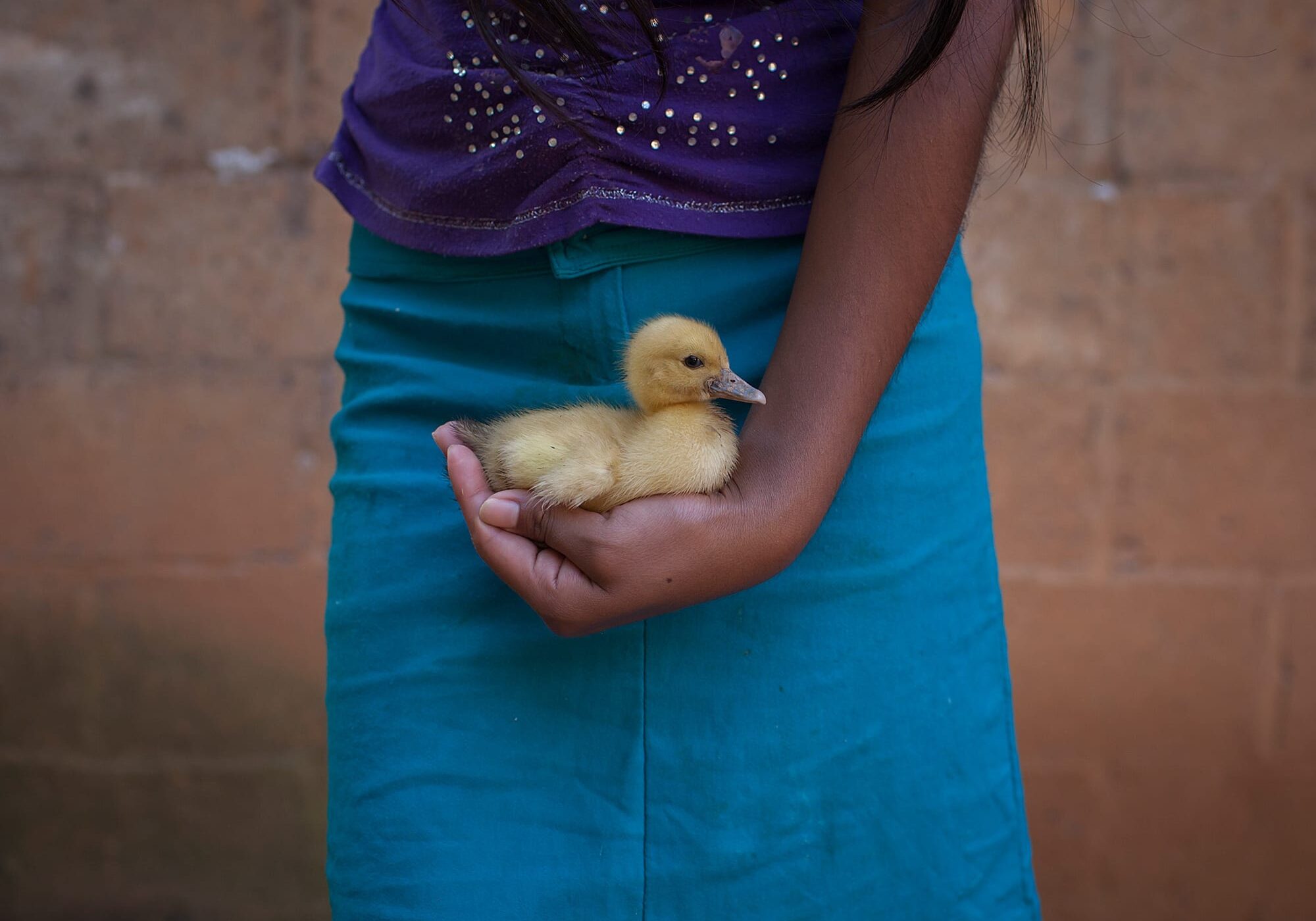 a girl holding a duck