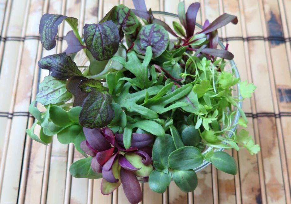City Bitty Farm's microgreens