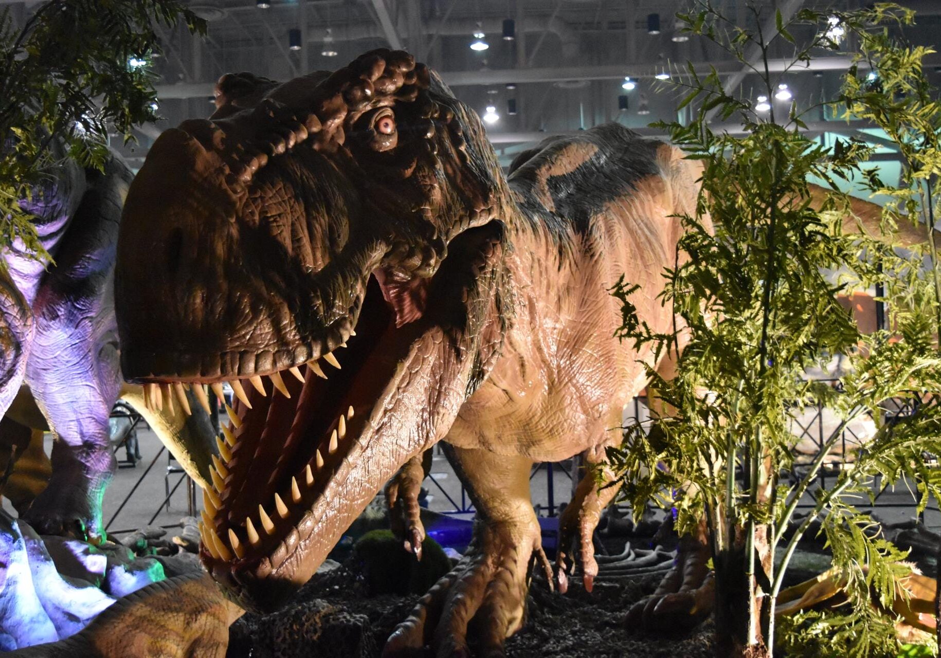 A large animatronic t-rex.