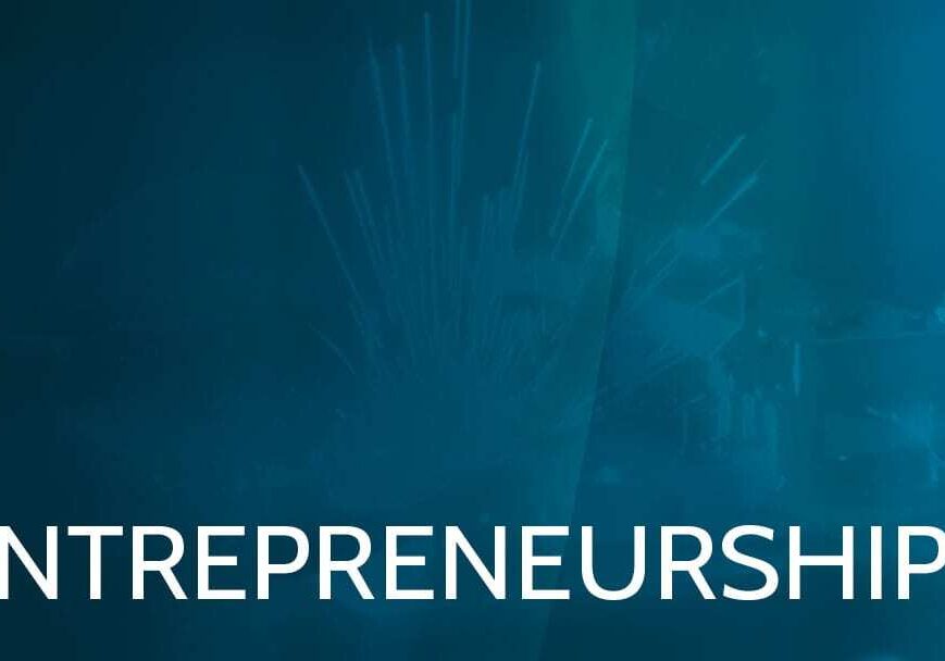 entrepreneurship-dummy-full