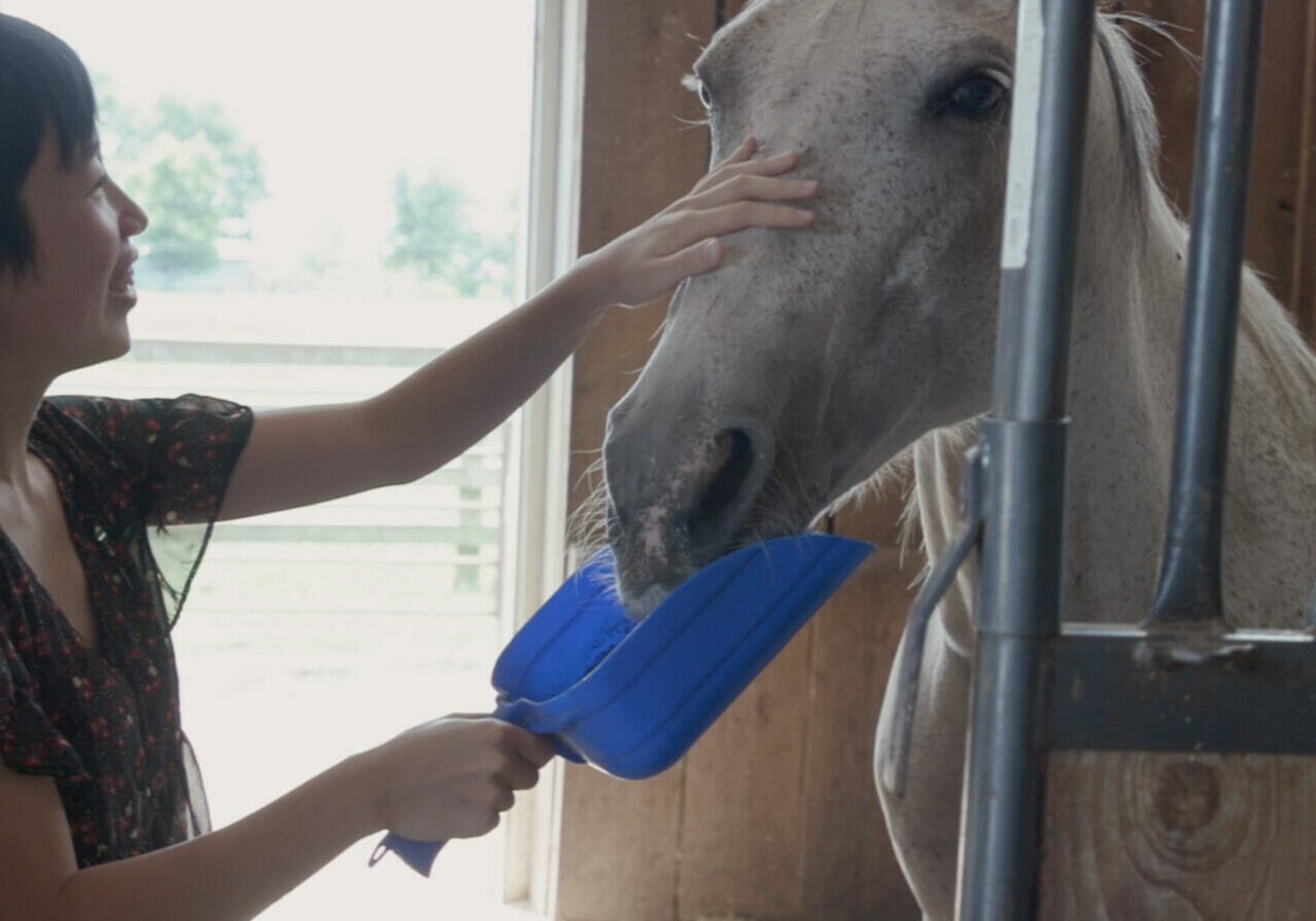 woman with short dark hair holds a blue scoop full of oats up to a white horse, who munches on the oats. The woman has her hand on the horses face.