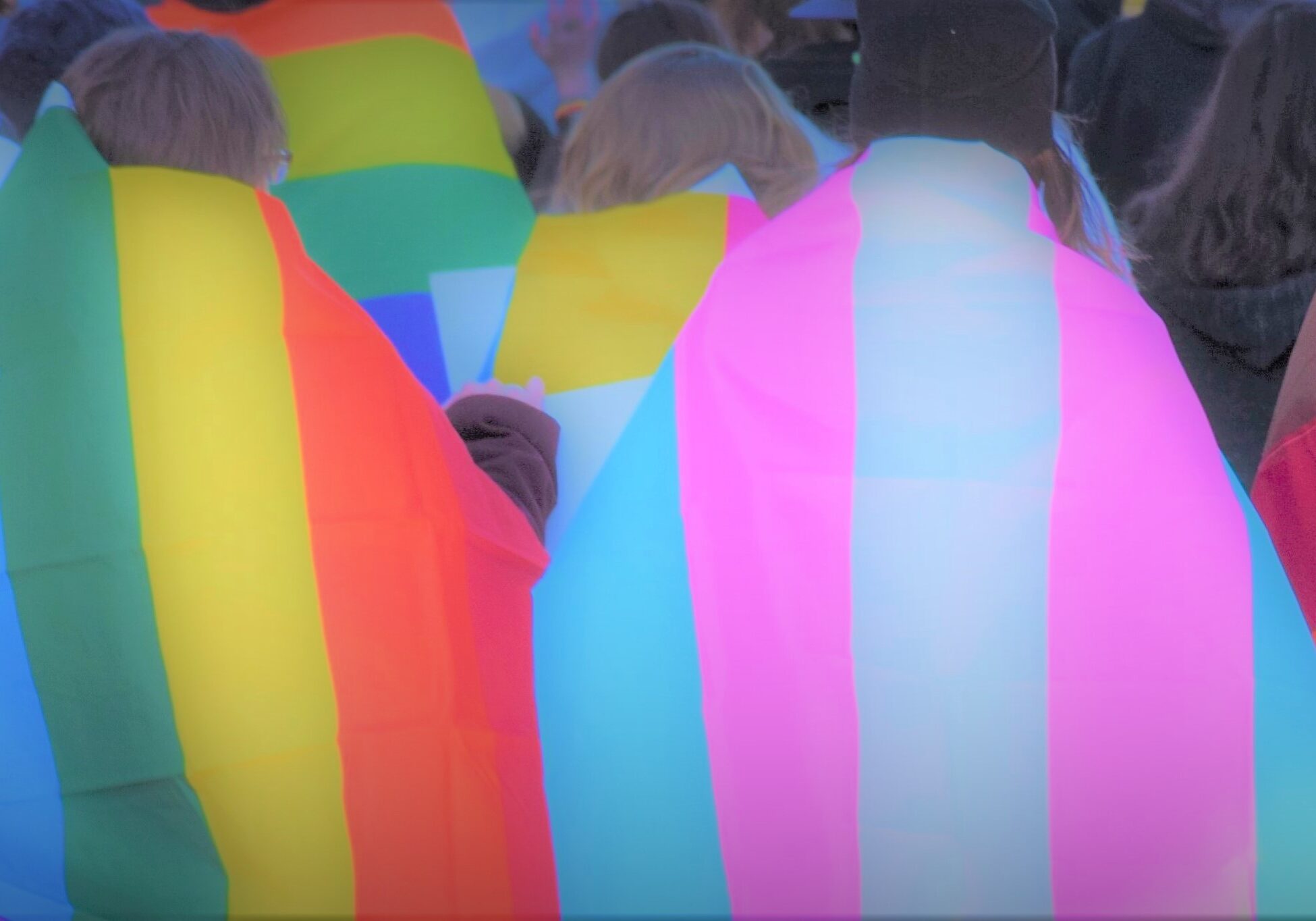 Pride flags. Springfield Pride Parage 2019.