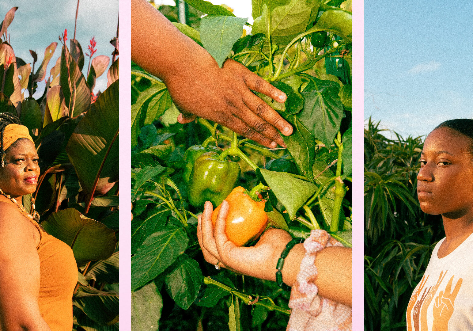 Three images side by side: A woman with an orange shirt against lush greenery, a woman's hand at the left corner pulls back leaves while a child's hand holds a pepper, a teen with a straight face poses against a garden backdrop.