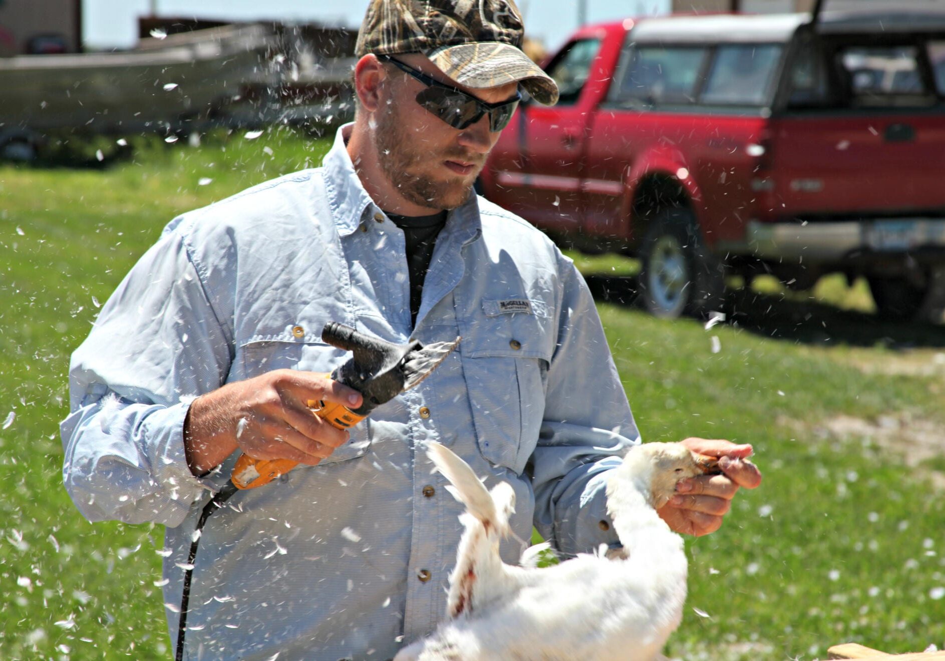 University of Missouri graduate student Drew Fowler holds a snow goose.