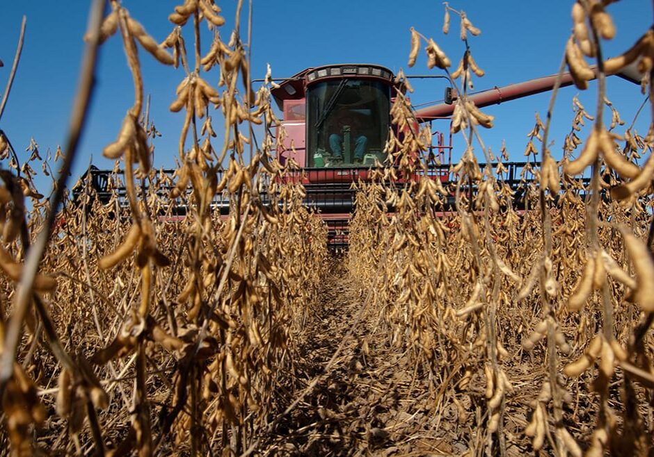 (Photo: UnitedSoybeanBoard on Flickr)