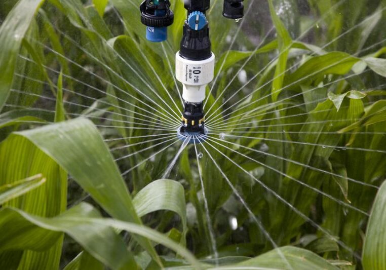 A close-up of an irrigation sprinkler.