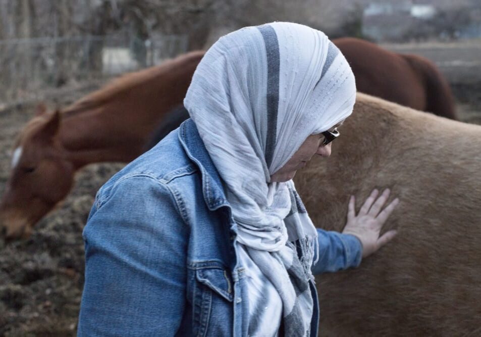 A woman in a headscarf with a horse