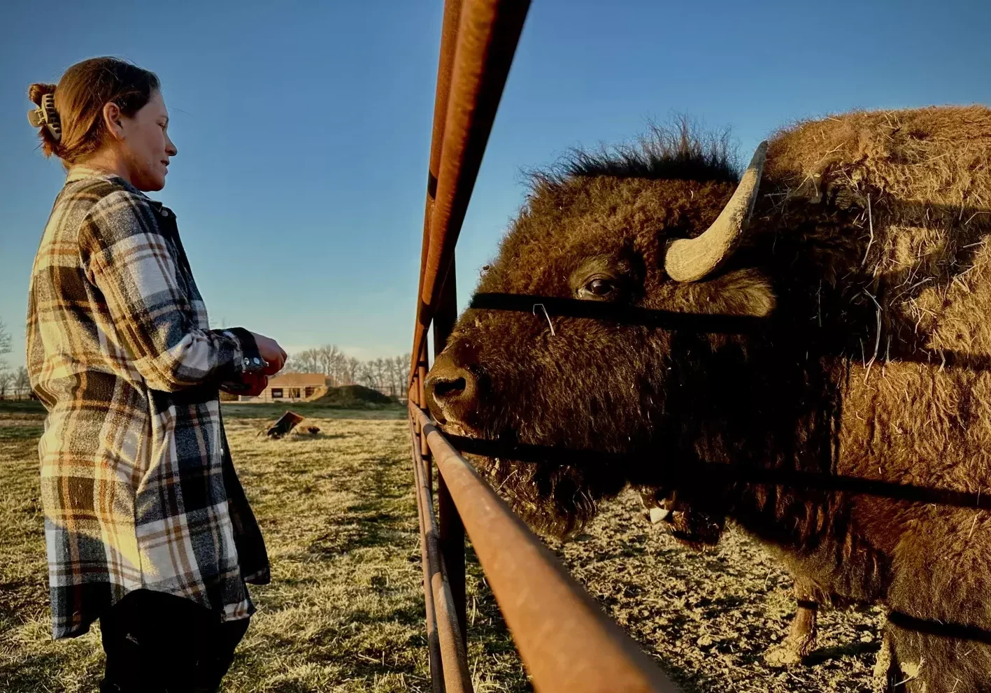 Jenna Batchelder and her husband Brad have been raising livestock for years. A grant from USDA Rural Development helped them branch out into a successful retail meat business. (Frank Morris | Harvest Public Media)