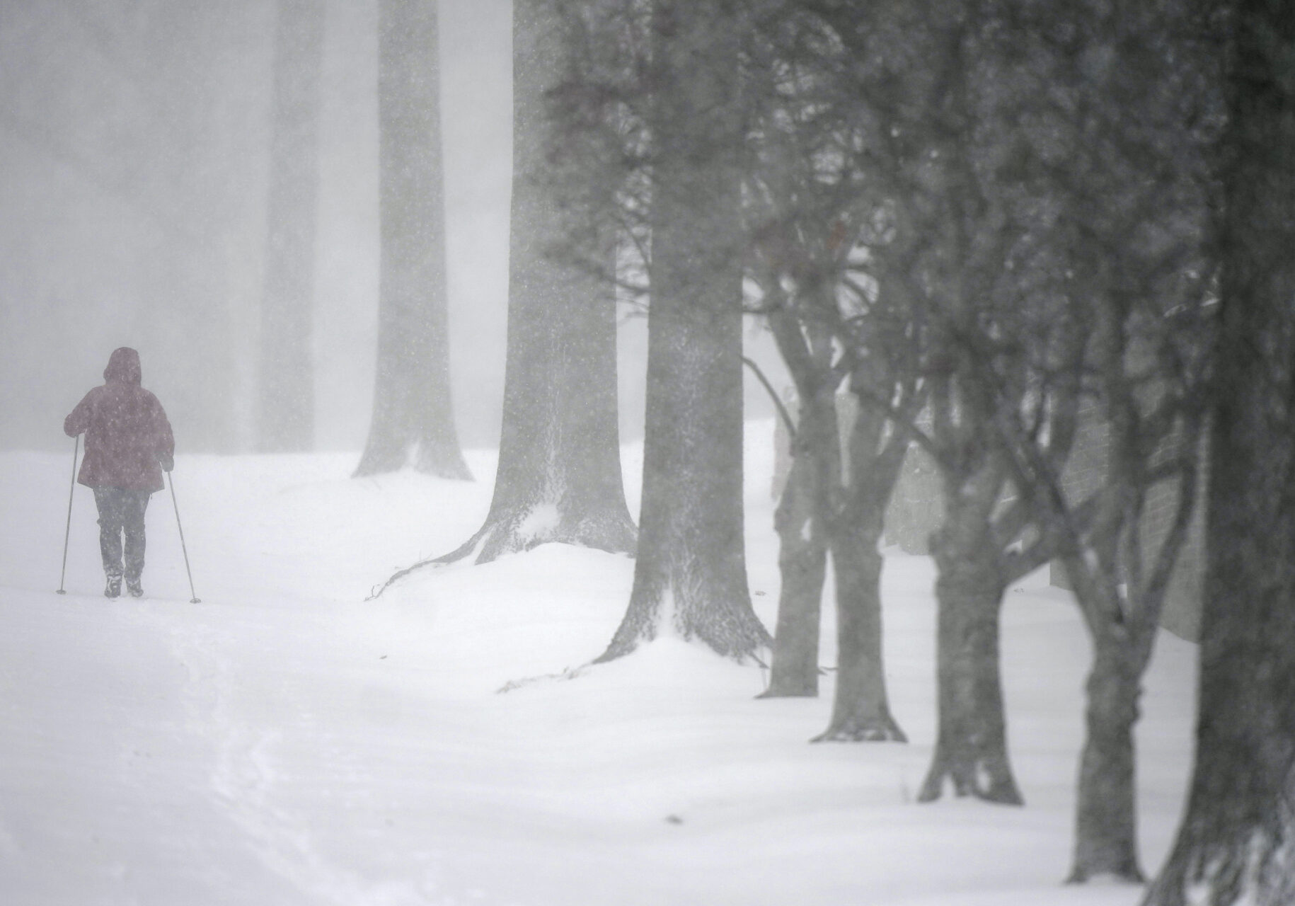 A man skis up a a snowy street in Kansas City, Mo., as a winter storm passes through the region Thursday, Feb. 17, 2022. (AP Photo/Charlie Riedel)