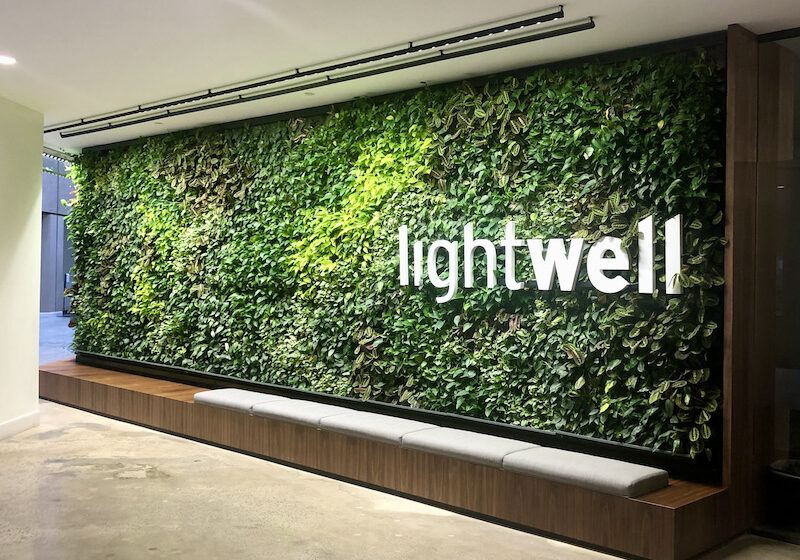 lightwell plant wall