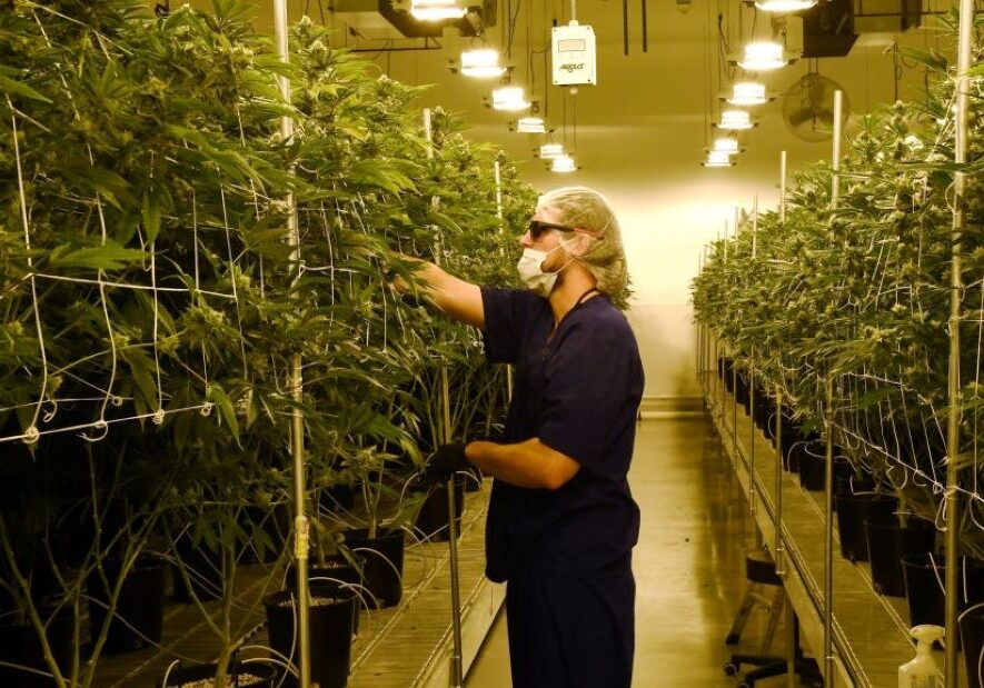 While recent Emerson and Remington polls show a close race, a poll of 670 likely voters conducted in mid-September by SurveyUSA and commissioned by several Missouri television stations found 62% are “certain to vote yes” on Amendment 3.