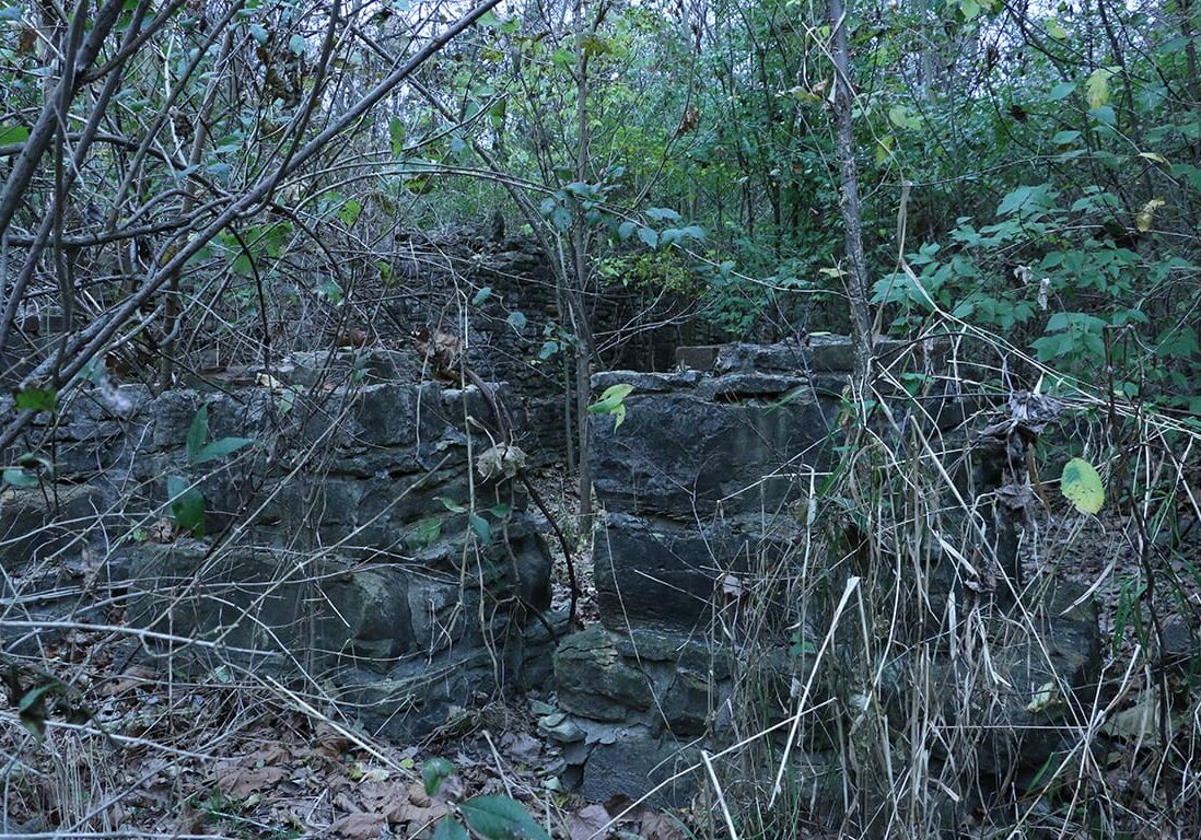 overgrown site
