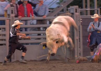 Rodeo bullfighter Rowdy Moon runs in to the rodeo ring after a cowboy is thrown by a bucking bull. (Brian Seifferlein/Harvest Public Media)