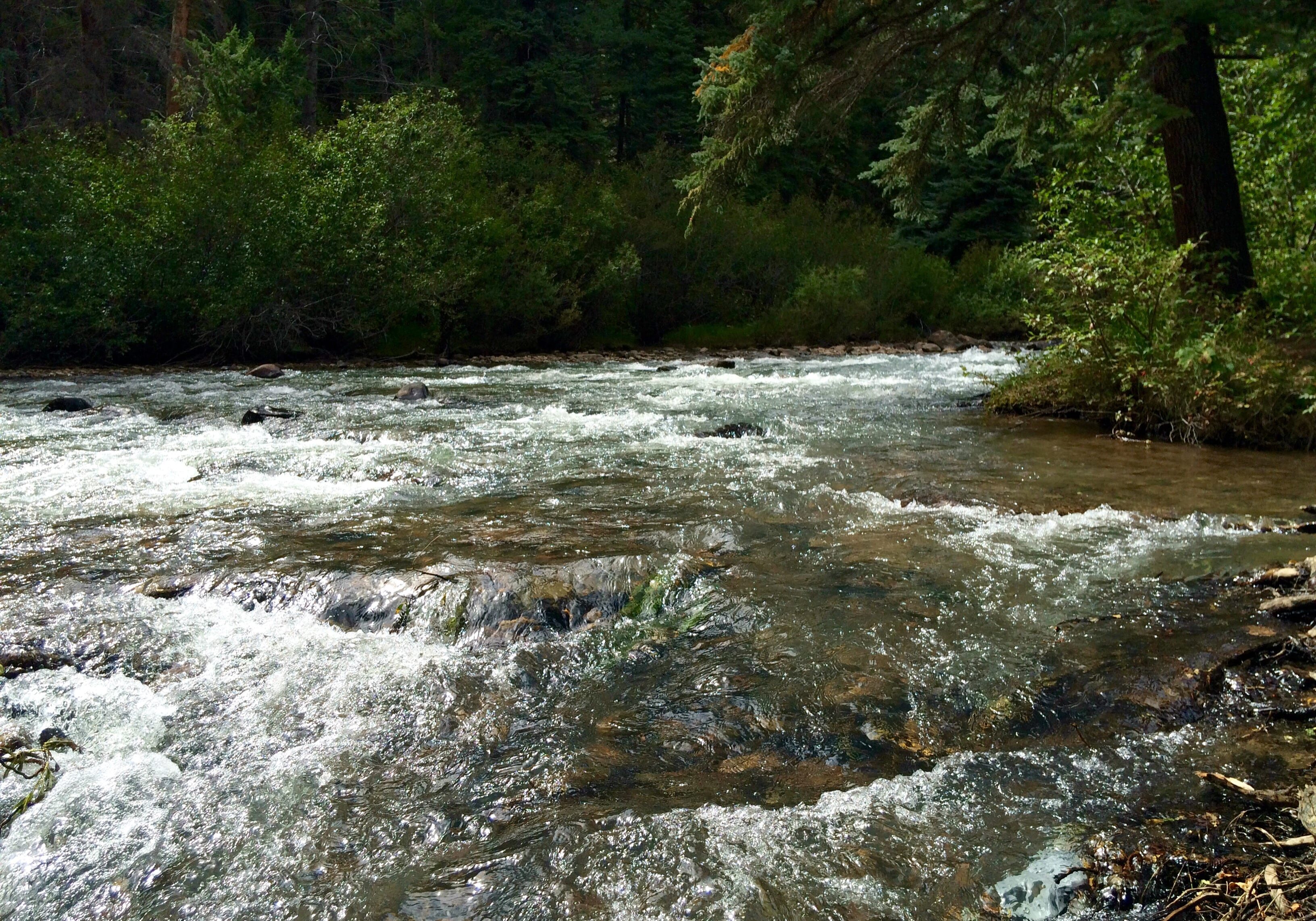 Watch how one Nebraska community is dealing with high-nitrate water. 