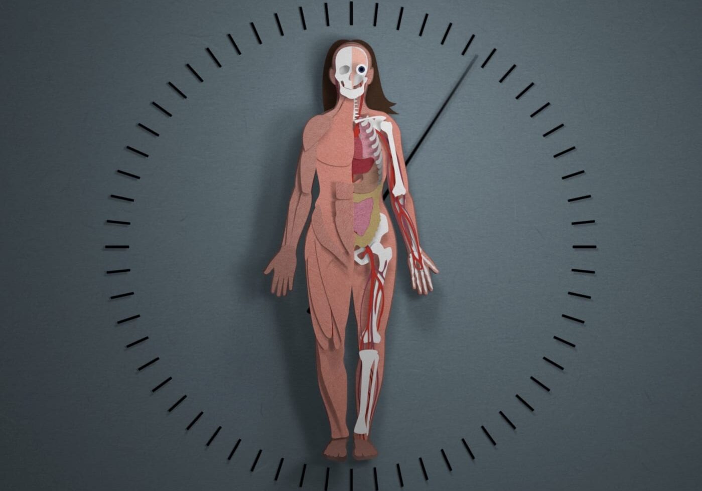 A screen grab from a Skunk Bear video.