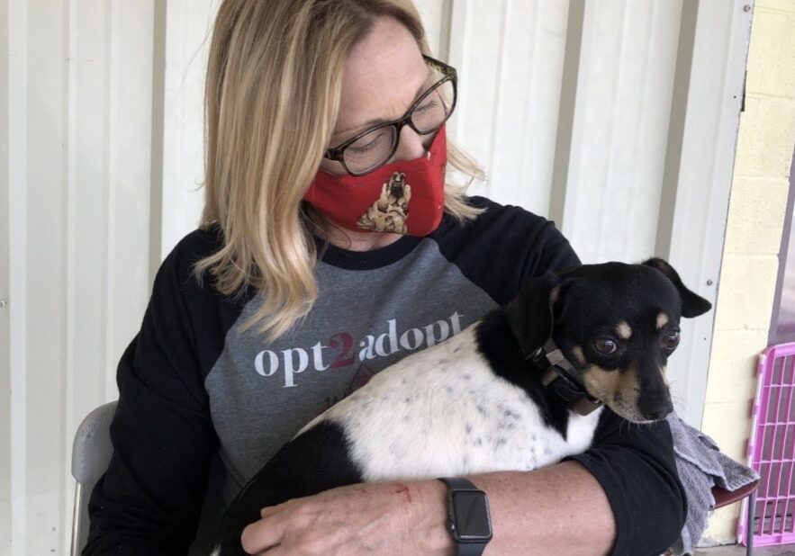 A masked woman holds a dog.