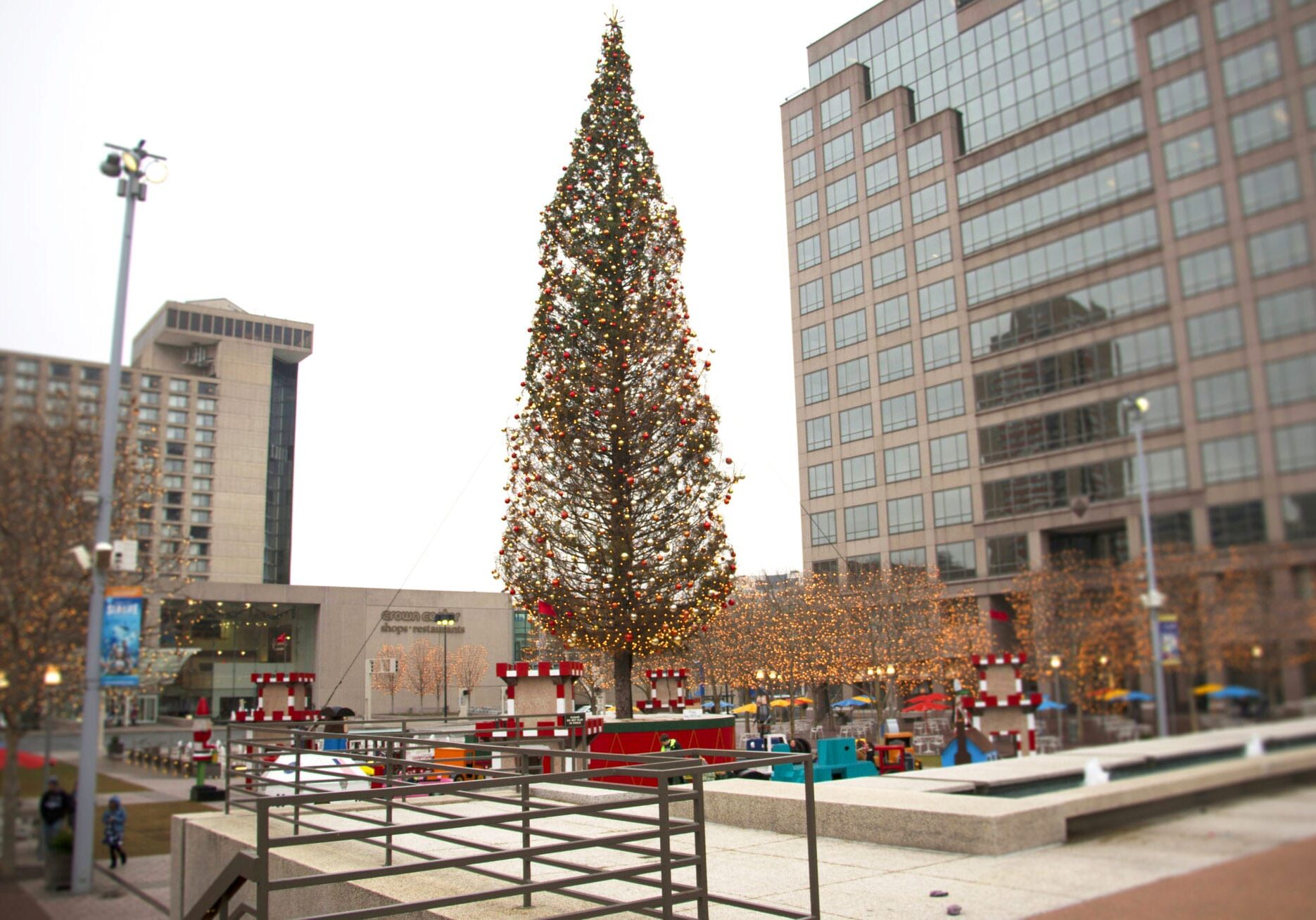 Tina Luckett, the Entertainment Marketing Manager for Crown Center, travels to Oregon every other year to hand pick the Christmas Tree. (Photo: Daniel Boothe | Flatland) 