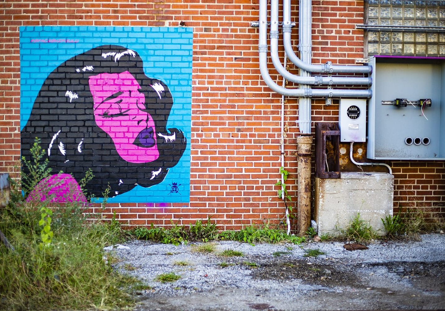 In an alley off 19th and Main streets (Brad Austin | Flatland)